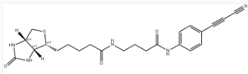 2170240-97-6；APN-C3-biotin