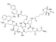 Biotinyl-(Arg8)-Vasopressin  CAS号：126703-17-1  生物素标记的抗利尿激素 Biotin-精氨加压素