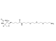 1374658-86-2          rel-Biotin-PEG3-C3-NH2	       生物素-三聚乙二醇-亚甲基-氨基	