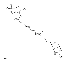 325143-98-4           Sulfo-NHS-SS-Biotin sodium	     生物素-二硫键-磺酸-琥珀酰亚胺酯	