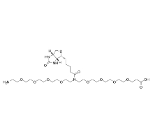 2100306-84-9           N-(Amino-PEG4)-N-Biotin-PEG4-acid	    N-(氨基-四聚乙二醇)-N-生物素-四聚乙二醇-羧酸	