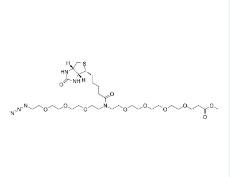 2100306-76-9        N-(Azido-PEG3)-N-Biotin-PEG4-methyl ester	N-(叠氮-三聚乙二醇)-N-生物素-四聚乙二醇-甲酯	