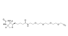 1458576-00-5            Acetylene-PEG4-biotin conjugate	生物素-四聚乙二醇-丙炔基	