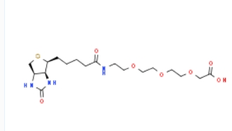 1189560-96-0         Biotin-PEG3-acetic Acid	生物素-三聚乙二醇-乙酸	
