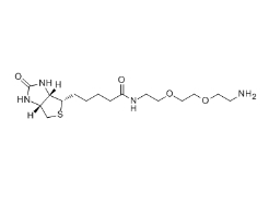 138529-46-1       生物素-PEG2-胺	N-BIOTINYL-3,6-DIOXAOCTANE-1,8-DIAMINE