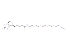1309649-57-7           生物素-PEG4-叠氮	     Biotin-PEG4-Azide