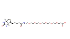 1352814-10-8         Biotin-peg6-acid	         生物素-PEG6-羧酸	