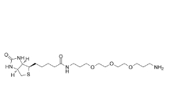 1374658-86-2         Biotin-PEG3-(CH2)3-NH2 TFA salt		