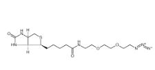 945633-30-7            Biotin-PEG2-CH2CH2N3		