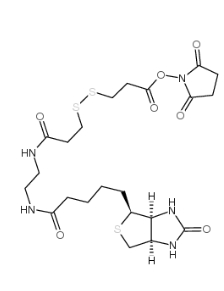 142439-92-7        NHS-SS-(+)-Biotin		