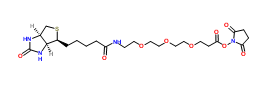 生物素-PEG3-NHS酯；1253286-56-4；Biotin-PEG3-NHS ester