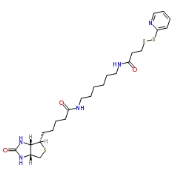 HPDP-Biotin cas:129179-83-5  N-(6-[生物素胺]己基)-3’-(2’-吡啶二硫)丙酰胺