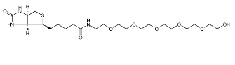 906099-89-6；Biotin-PEG6-alcohol