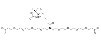 1964503-35-2；N-Biotin-N-bis(PEG4-acid)