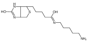 生物素-C5-胺；115416-38-1；5-(Biotinamido)pentylamine