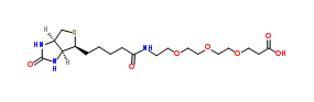 (+)-生物素-PEG 3 -丙酸；252881-76-8；Biotin-PEG3-acid