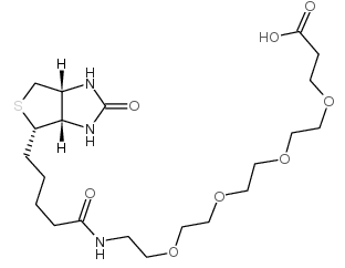 Biotin-PEG4-acid；15-[D-(+)-生物素氨基]-4,7,10,13-四氧杂十五烷酸