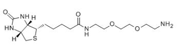 生物素-PEG2-胺；138529-46-1；N-Biotinyl-3,6-dioxaoctanediamine