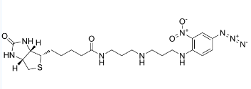 786609-83-4；N-(4-Azido-2-nitrophenyl)-N'-biotinylnorspemidine