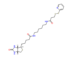 129179-83-5；Biotin HPDP；N-(6-[生物素胺]己基)-3-(2-吡啶二硫)丙酰胺