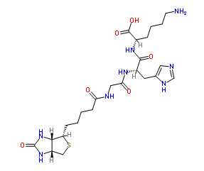 生物素酰基甘氨酰组氨酰赖氨酸；Biotinyl-GHK tripeptide-1