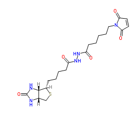生物素-馬來酰亞胺；116919-18-7；BIOTIN-MALEIMIDE