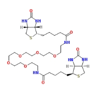 1,17-双生物素氨基-3,6,9,12,15-五氧杂十七烷    440680-87-5    1,17-Bisbiotinylamino-3,6,9,12,15-pentaoxaheptadecane 