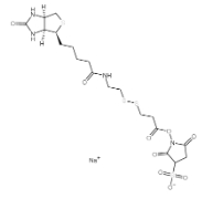 202057-28-1  3-[[2-(生物素酰胺)乙基]二硫基]丙酸磺酸基琥珀酰亚胺酯 Sulphosuccinimidyl-2-(biotinamido)ethyl-1,3-dithiopropionate 