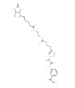 Citrulline-specific Probe-biotin    2468149-70-2   