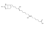 Lc-Lc-(+)-Biotin    89889-51-0  Biotin-C5-amino-C5-amino    LC-LC-(+)-生物素
