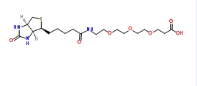 (+)-Biotin-Peg3-Propionic Acid  252881-76-8    (+)-生物素-PEG 3 -丙酸