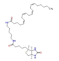 花生四烯酸生物素酰胺 1217901-28-4 Arachidonic Acid-biotin