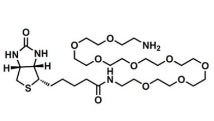 (+)-Biotin-PEG8-amine