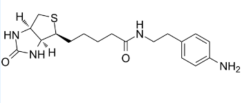 769933-15-5；Biotin-aniline；齐岳定制