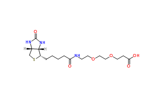 1365655-89-5；Biotin-PEG2-acid；齐岳生物