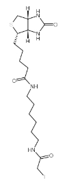 93285-75-7；交联剂：Iodoacetyl-LC-Biotin；N-生物素-N'-(碘乙酰基)-1,6-己二胺         