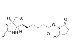 35013-72-0，Biotin-NHS,生物素-琥珀酰亚胺
