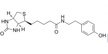 生物素基酪氨酰胺；41994-02-9；Biotinyl tyramide