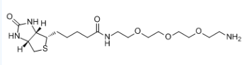 生物素-PEG3-胺；359860-27-8；Amine-PEG3-Biotin