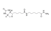 Biotin LC hydrazide  