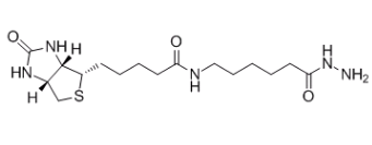 (+)-生物素胺己酰肼；109276-34-8；Biotin LC hydrazide