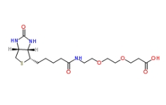 1365655-89-5,Biotin-PEG2-COOH，生物素-二聚乙二醇-丙酸