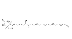 1458576-00-5，Biotin-PEG6-NH2,Biotin-PEG6-MAL,Biotin-PEG4-Alkyne，生物素-四聚乙二醇-丙炔基