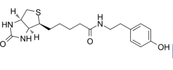 Biotinyl tyramide；41994-02-9；生物素基酪氨酰胺