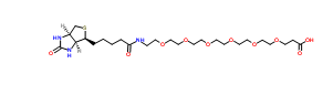 生物素-六聚乙二醇-羧酸；1352814-10-8；Biotin-PEG6-acid