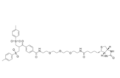 2055048-58-1，Biotin-PEG3-Bis-sulfone,生物素-PEG3-双硫基