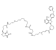 依罗替尼生物素  1599432-18-4  Ibrutinib-biotin