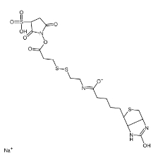 325143-98-4,Sulfo-NHS-SS-Biotin,水溶活性酯双硫键生物素交联剂