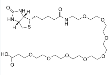 2143964-62-7；Biotin-PEG8-acid；齊岳生物