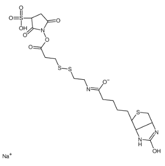 Sulfo-NHS-SS-Biotin sodium；325143-98-4
